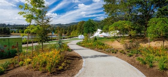 Town Centre Park