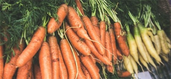 Carrots at the Farmers Market
