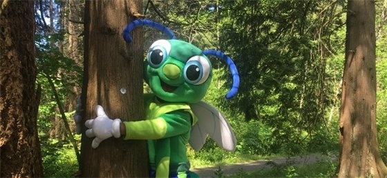Sparky hugging a tree