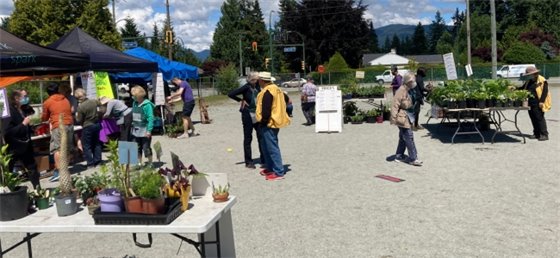 Garden sale