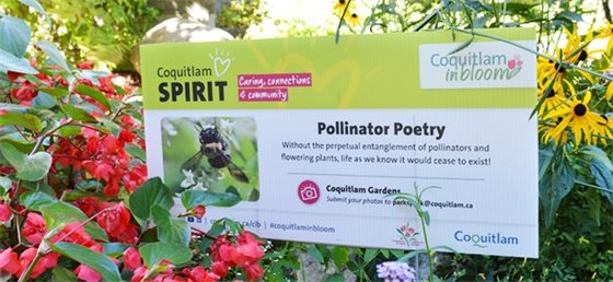 Pollinator fun-fact signage