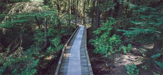 Trail in Mundy Park