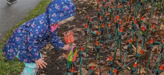 Child installing a pop-bottle tulip