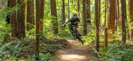 Mountain biker riding off a jump