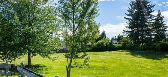 Sunny photo of a park