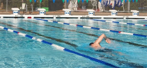 Adult swimming in lap pool