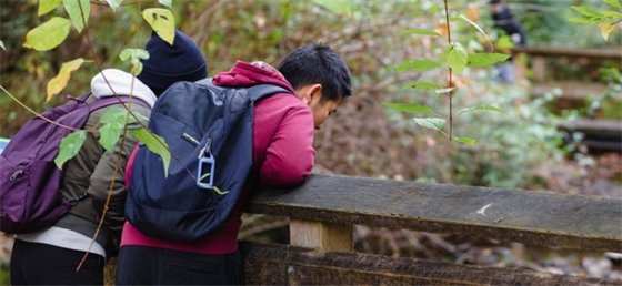 People leaning on bridge looking into stream 