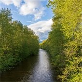 An image of the Coquitlam River flanked by trees on either side.