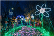 Flower Light Display