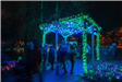 Green Lit Pergola