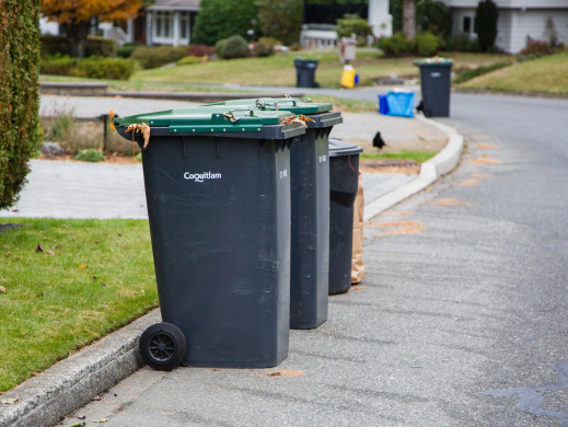 Carts set out at the curb