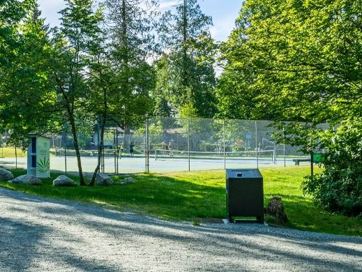 Tennis court surrounded by trees on a sunny day