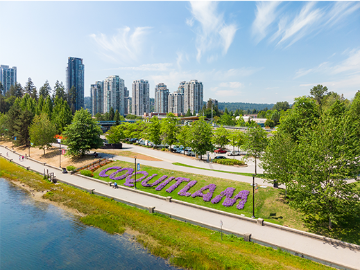 The Coquitlam planting at Lafarge Lake with the city streetscape in the background.