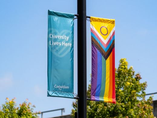 Pride banner and Diversity Lives Here banner on streetsign