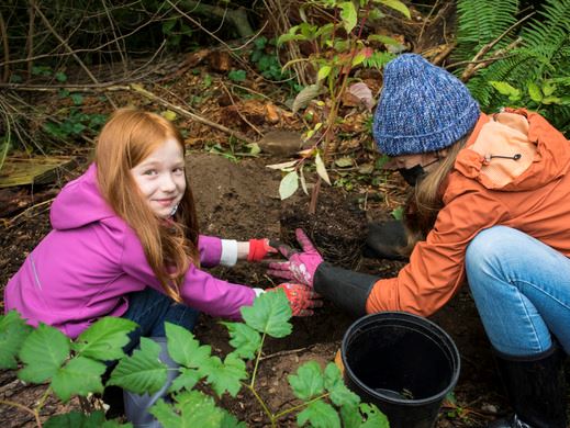 A child and an adult squatting down to plant a vine into the dirt in a garden.