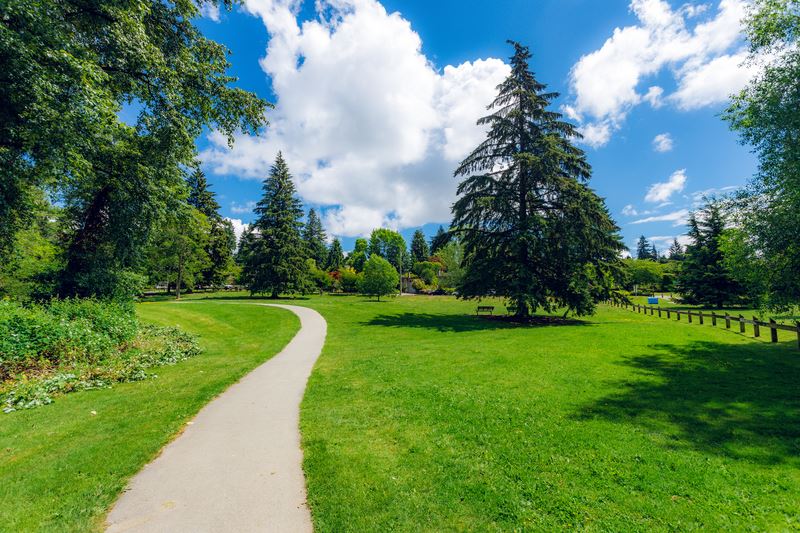 Curved path through a green park with tall trees at Miller Park