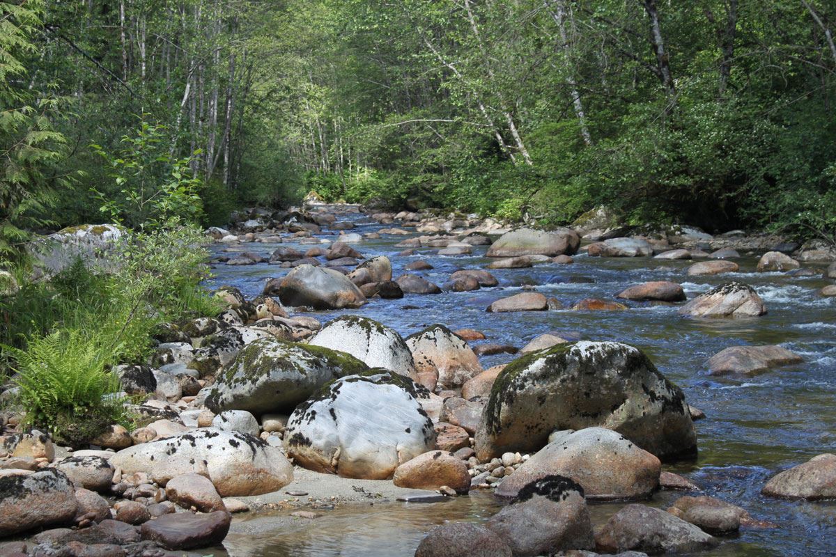 Parks & Facilities • Coquitlam, BC • CivicEngage