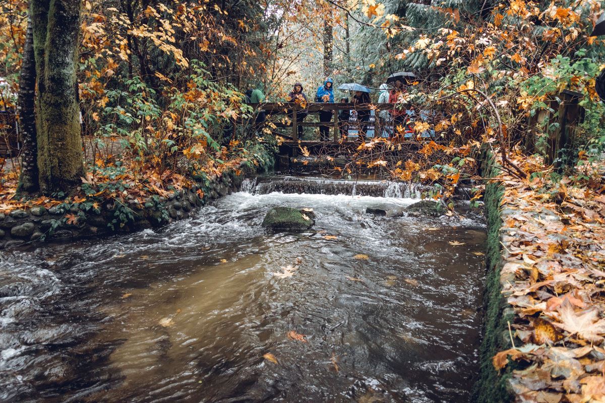 Hoy Creek Linear Park