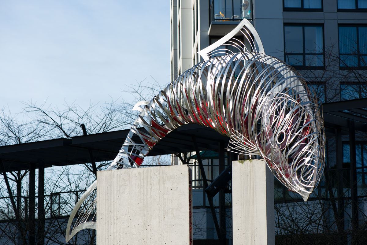 Spirit Square Return of the Sockeye