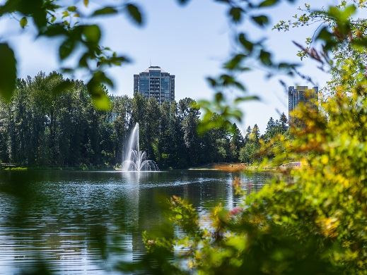 Town Centre Park Lake View