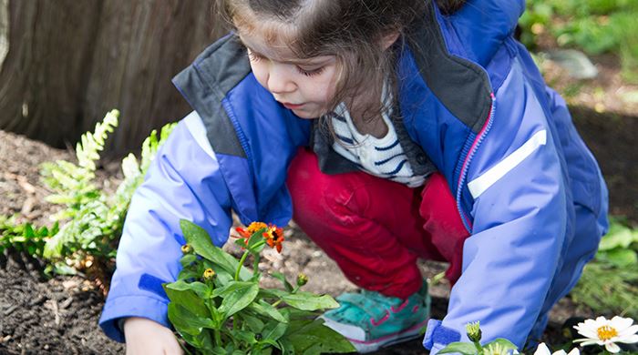 Mundy Planting