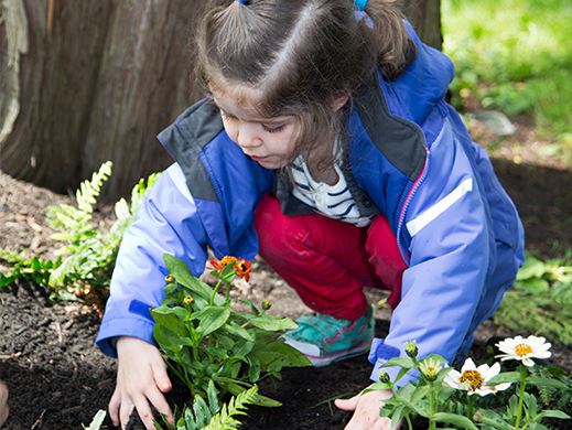 Planting