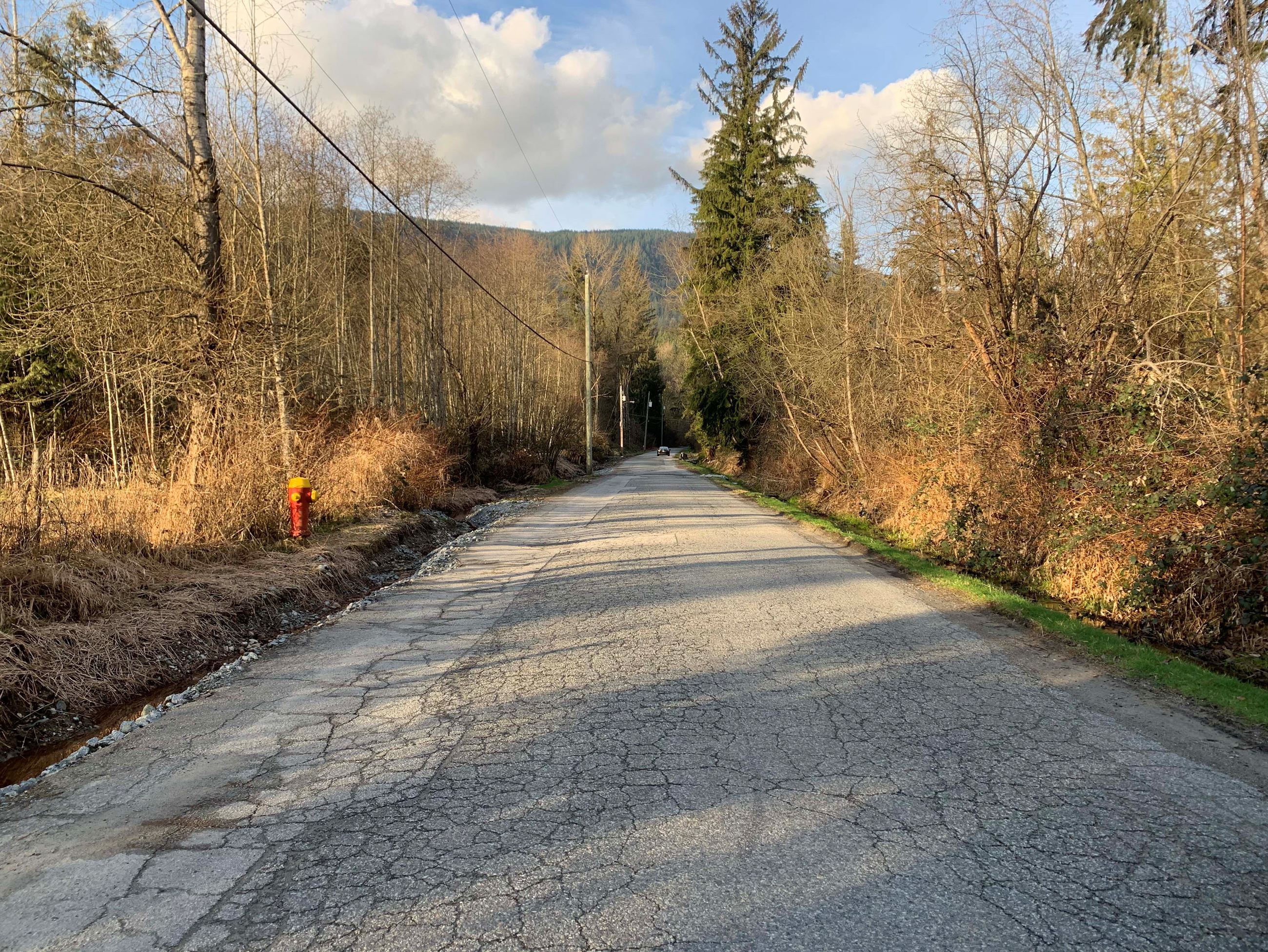 A section of Cedar Drive that will be upgraded