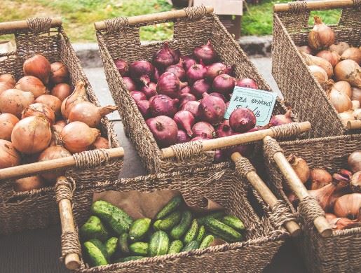 Vegetables at the Farmers Market