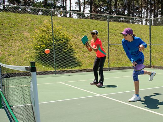 Pickleball Newsflash