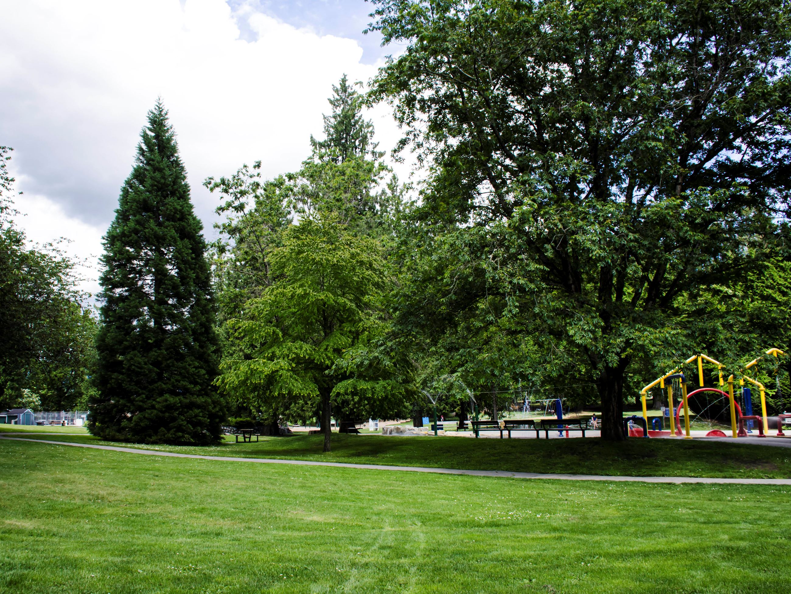 An image of Blue Mountain Park showing trees, the spray park and the wading pool