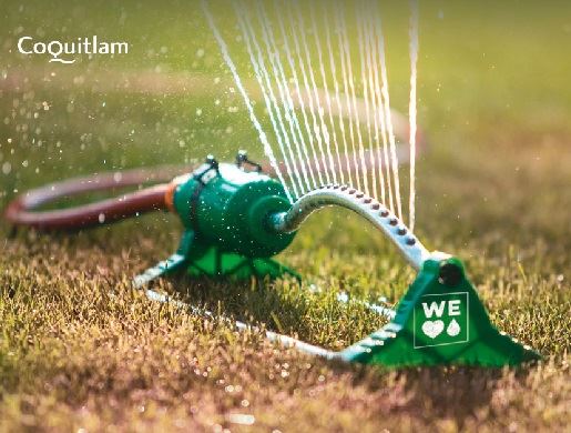 Lawn watering restrictions sprinkler 