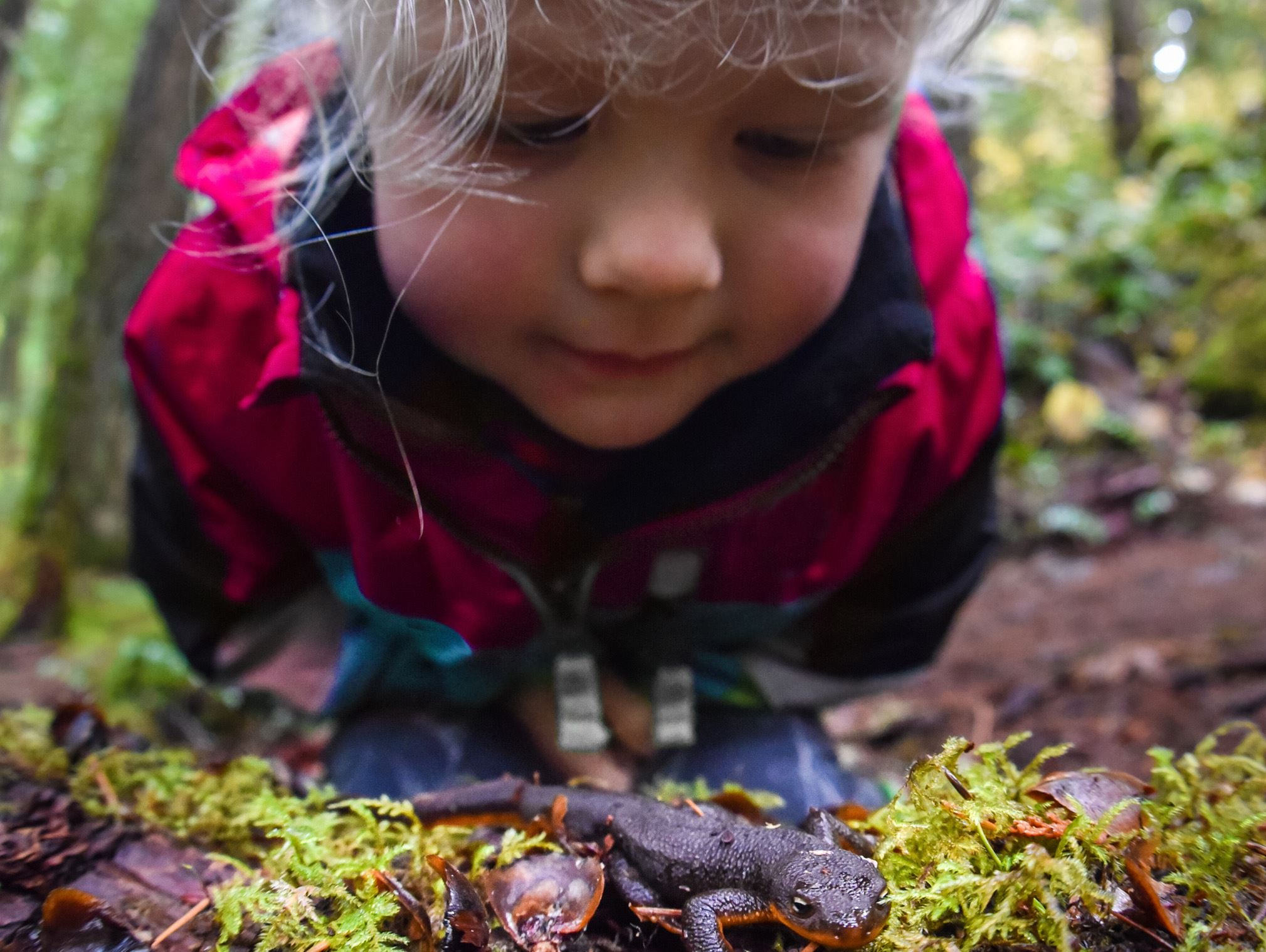 A small child bends forward to look closely at a salamander on a mossy log.