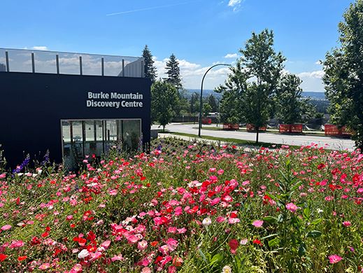 Image of Burke Mountain Discovery Centre