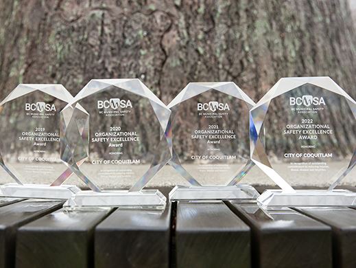 Image of four BCSMA awards arranged in a row