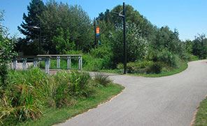 Path and bridge in Mackin Park